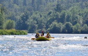 rogue river half-day rafting